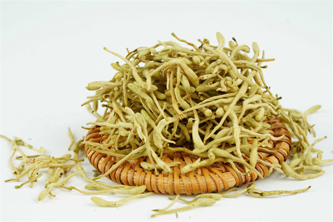 盛通秦岭，金银花
